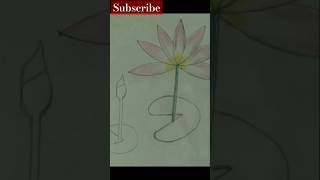 Water lily drawing drawing art technique shorts reels youtube youtubeshorts [upl. by Romeon484]