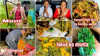 Iskus 🥬ko munta 🥒💚karayla bhindi kurilo ko achar sanga khanamukbangfamilyfarmerstomatofarming [upl. by Yrral916]