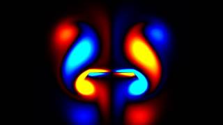 Vorticity field for plunging plate in a quiescent fluid [upl. by Anisirhc]