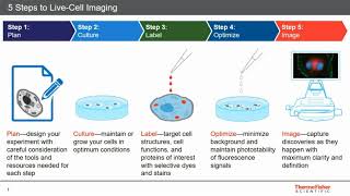 Best practices 5 steps to livecell imaging [upl. by Aiyn]