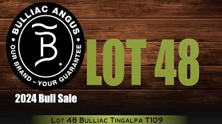 Lot 48 Bulliac Tingalpa T109 [upl. by Tartan]