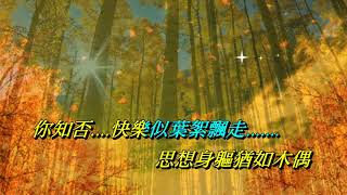 紅葉落索的時候 周慧敏〈卡拉伴奏版〉 [upl. by Rabassa]