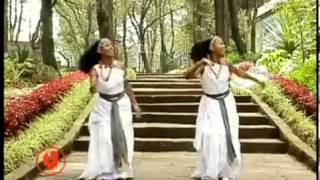 Halloo Daawwee Obboleeysi Oromo Music [upl. by Adalai]