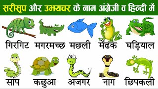 Reptiles and Amphibians Names In English amp Hindi With Pictures  सरीसृप और उभयचरों के नाम [upl. by Goldia]