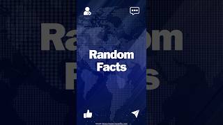 Random Fact 109 randomfacts faktenvideo fakten halloween samhain ireland irish [upl. by Ardnoek]