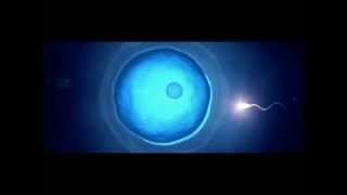 Melanin Fluoride and the Pineal Gland [upl. by Rimahs]