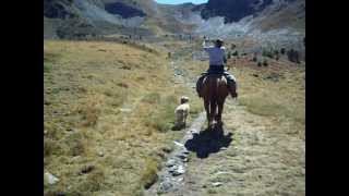 à cheval en montagne [upl. by Zapot]