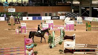 Maxwell Equestrian Centre 8 Nov 2024 Back up feed [upl. by Nivrac]