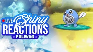 LIVE  Shiny Poliwag in 16 Encounters Chain Fishing in Pokémon Y [upl. by Enalda]