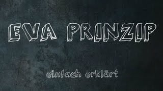 EVA Prinzip einfach erklärt [upl. by Llehcam]