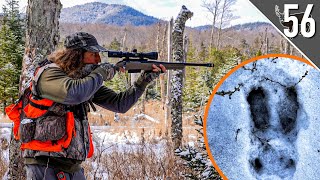 TRACKING Deer in the ADIRONDACKS [upl. by Annaliese]