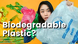 Biodegradable  Compostable  Bioplastic  Oxodegradable 2022 Which is better [upl. by Marlette]