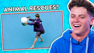 FUNNIEST Animal Rescues  Bondi Lifeguard Reacts [upl. by Ilarin]