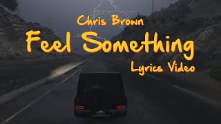 Chris Brown  Feel Something Lyrics [upl. by Panthea]