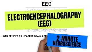 2Minute Neuroscience Electroencephalography EEG [upl. by Anayit]