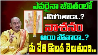 జీవితంలో ఎదుగుతాడా నాశనం అయి పోతాడా  Hasta Samudrikam  YVSS Giri Rao  Devotional Tree [upl. by Aryaz]