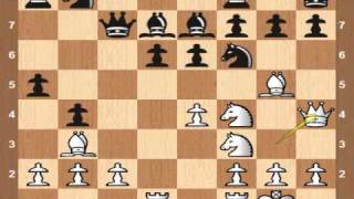 Sicilian Najdorf Lipnitzky attack 6Bc4 B92 Vol III [upl. by Ahsemat]