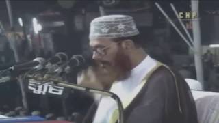 Bangla Tafseer Mahfil  Delwar Hossain Sayeedi at Chittagong 2004 Day 2 Full [upl. by Kyriako608]