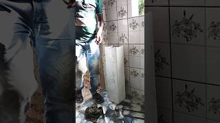 Bathroom Fitting Video  Plumbing work  Mondal Tech homewiring Plmbingworkytshorts [upl. by Molahs]