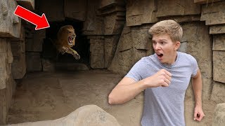 Exploring Secret Abandoned Zoo NOT SAFE [upl. by Nylidnarb752]