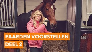 Paarden voorstellen deel 2 l PaardenpraatTV [upl. by Prissy]