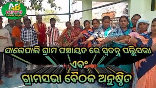 ସାଲେପାଲି ଗ୍ରାମ ପଞ୍ଚାୟତ ରେ ସ୍ୱତନ୍ତ୍ର ପଲ୍ଲିସଭା ଏବଂ ଗ୍ରାମସଭା ବୈଠକ ଅନୁଷ୍ଠିତ ABNEWS [upl. by Patrick]