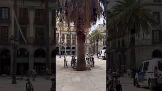 Barcelona Spain City Tour trending travel barcelonalife barcelonatour barcelonastreet remix [upl. by Aihsekin12]