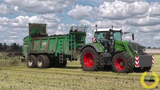 2 x Fendt Vario mit Tebbe Streuer  LU Barkmann  JCB Teleskoplader  Miststreuen [upl. by Cela199]