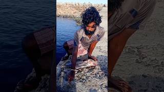 Young Man Using Big Fish to Catch Variety Fishes fishing fishingvideos thoondilulagam seafishing [upl. by Ime636]