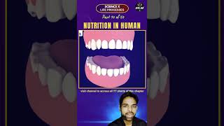 10 Nutrition in Human Mouth Class 10 biology Chapter 1 Life Processes [upl. by Evante841]