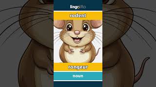 🇬🇧🇫🇷 rodent  rongeur  vocabulary builder  learn English  apprenons langlais [upl. by Ahsyat]