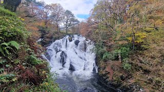 Rhaeadr Ewynnol  Swallow Falls Big Waterfall in wales wales waterfull forest [upl. by Canon803]