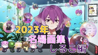 ✂2023年名場面集しるこ編 bintroll切り抜き 【しるこMINTOSUa1857かるてっとじらいちゃんはこたろー】【非公式】 [upl. by Manvel213]