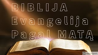 EVANGELIJA PAGAL MATĄ BIBLIJA [upl. by Aroved879]