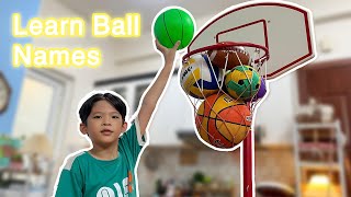 Learn Sports Ball Names and Fit 12 Balls in ONE Basketball Hoop 🏀🎉 [upl. by Healion]