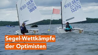 SegelWettkämpfe auf Schweriner See  28 Schweriner Marstall Cup 2024 [upl. by Sidonius]