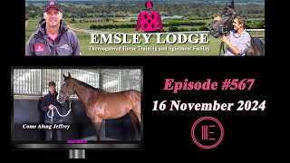 Nov 16 2024  Emsley Lodge Report [upl. by Elodea985]