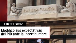 Banxico redujo sus expectativas de crecimiento para México a 24 [upl. by Ecnatsnoc]