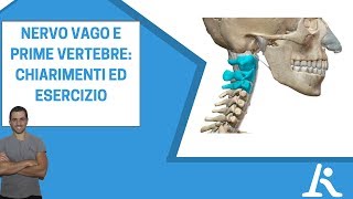 Nervo Vago compresso dalle prime vertebre cervicali storte [upl. by Bauer]