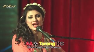 Der Zorawar Dey Janan  Nazia Iqbal Pashto Song  Pushto Hit Song [upl. by Auqinal217]