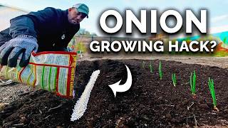 My New Favorite Way To Grow BIG Onions 🧅 [upl. by Brose31]