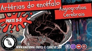 Artérias do encéfalo Parte 33  ANGIOGRAFIA CEREBRAL  ARTÉRIOGRAFIAS [upl. by Akere526]