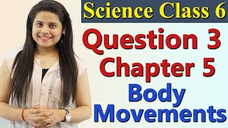 Q 3  Chapter 5  Body Movements  Science Class 6 NCERT [upl. by Vey]