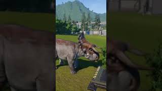 NASUTOCERATOPS  JURASSIC WORLD EVOLUTION  shorts [upl. by Rojam]