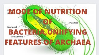 MODE OF NUTRITION OF BACTERIAUNIFYING FEATURES OF ARCHAEA [upl. by Rory]