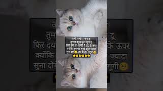 Kabhi love hurttuchingyoutubeshortscartoon funny cute catkeşfet friendship whatsappstatus [upl. by Yekciv]