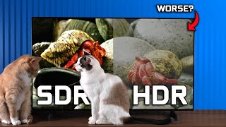 Is HDR Worse  HDR vs SDR On Monitors amp TVs [upl. by Reivaj]