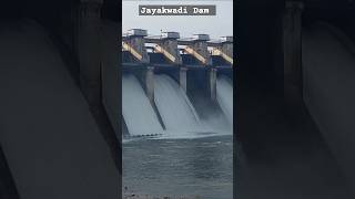 Jayakwadi Dam Current Water Level Today 2024 [upl. by Inaluiak700]