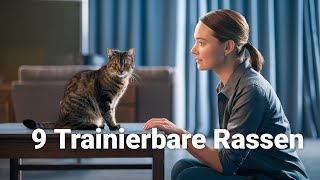 9 erstaunliche Katzenrassen die du trainieren kannst katze schlauekatze [upl. by Noreik]