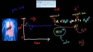 8 Natural buffer systems HSC chemistry [upl. by Lidaa]